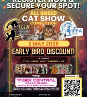 CAT SHOW